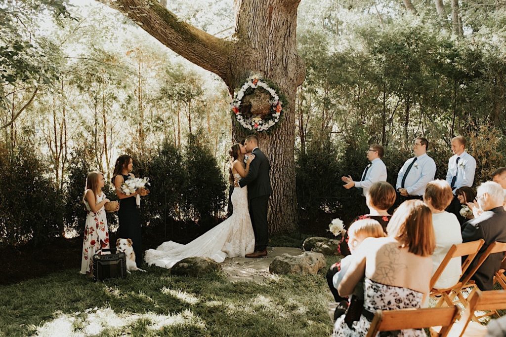 backyard wedding ceremony ann arbor michigan