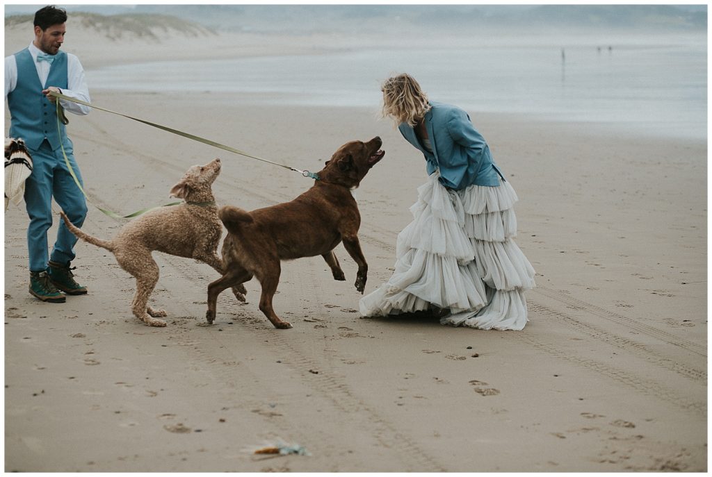 Dogs strain on their leashes to reach the bride who greets them before a wedding on Oregon coast