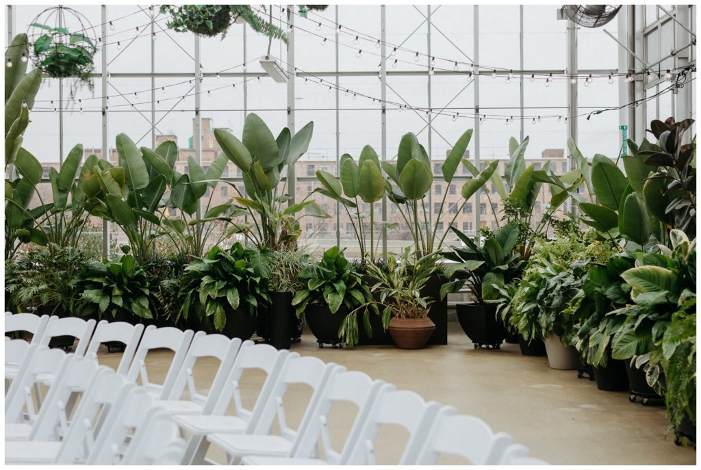 Plants behind the chairs at the venue for the wedding timeline
