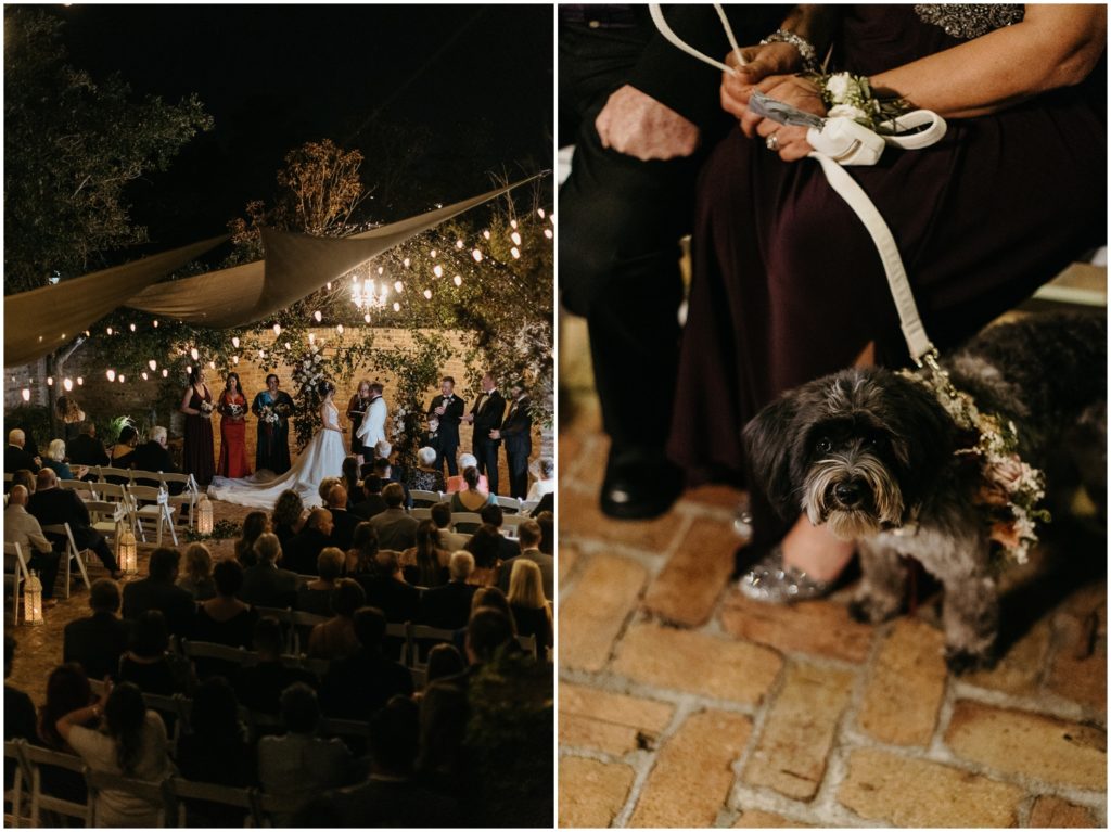 A dog in a floral wreath sits for a nighttime wedding in a New Orleans courtyard.