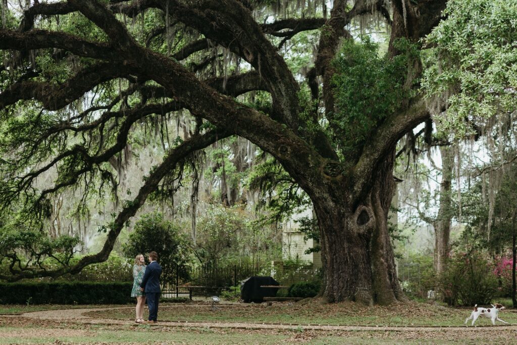 couple stands under oak tree for engagement session with dog