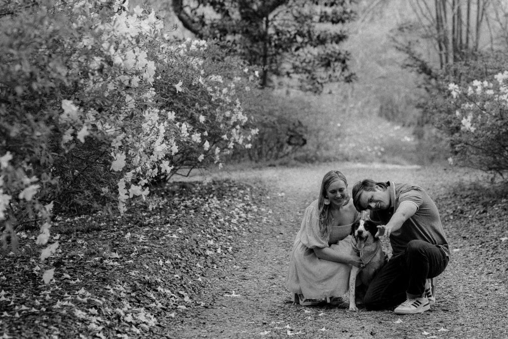 couple with dog for engagement photos in baton rouge