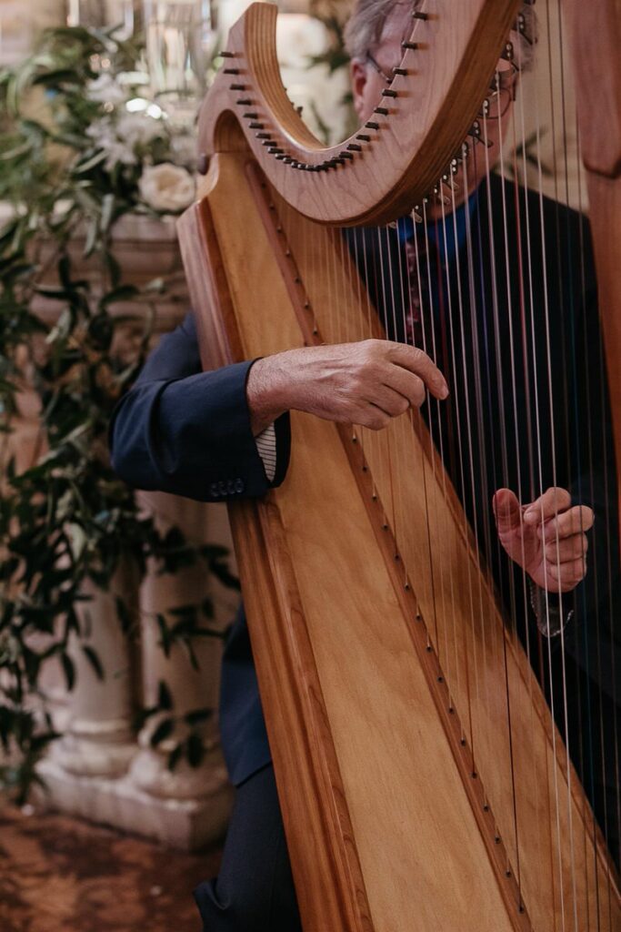 A person playing the harp 