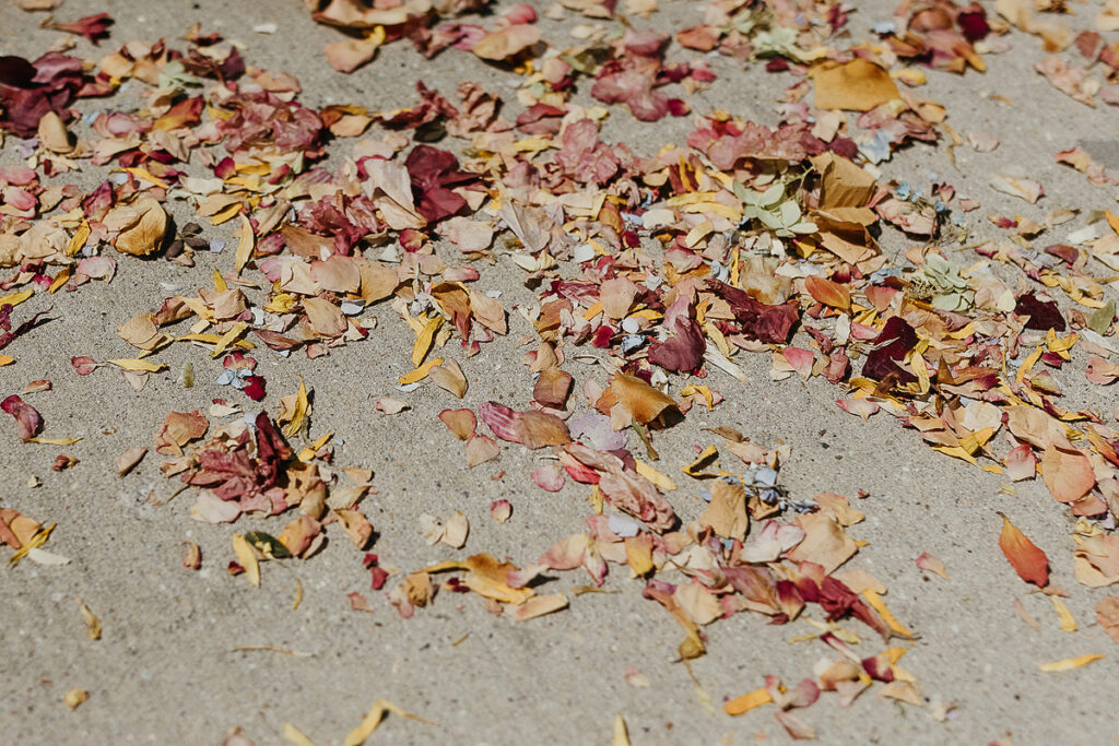 Close-up of colorful flower petals scattered on the ground