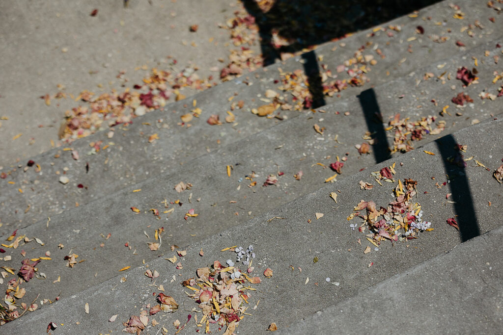 Flower petals scattered on concrete steps