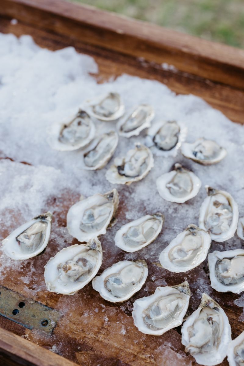 oysters on ice